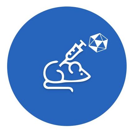 腺相关病毒包装服务