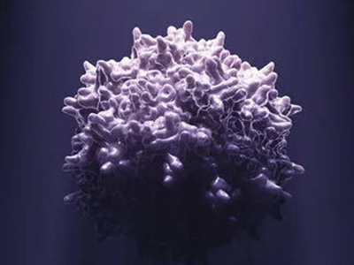 CEVEC推出新的基于稳转细胞系的AAV平台—ELEVECTA